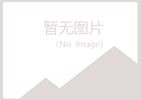 中山男孩会计有限公司